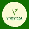 糖心v1.0.3破解版安装正式版